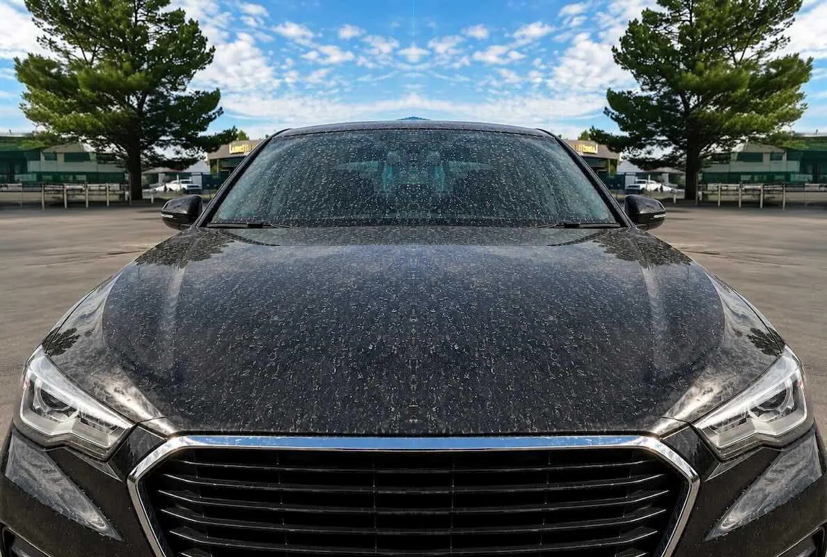 Dark car bonnet covered in dust and water spots before washing